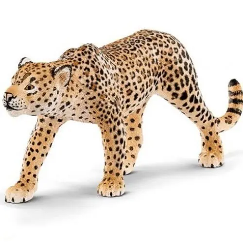 Леопард - фото