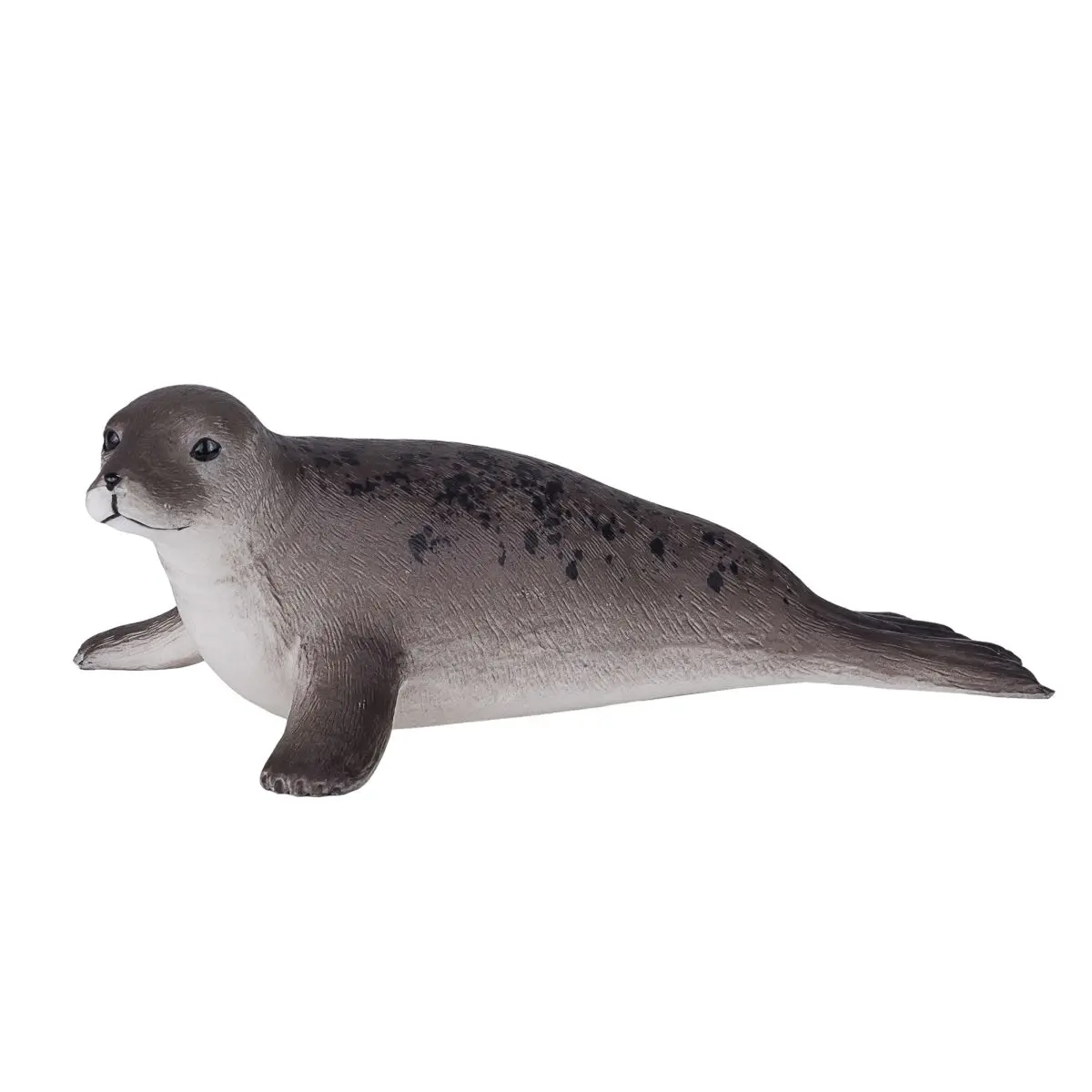 Длинномордый тюлень - фото