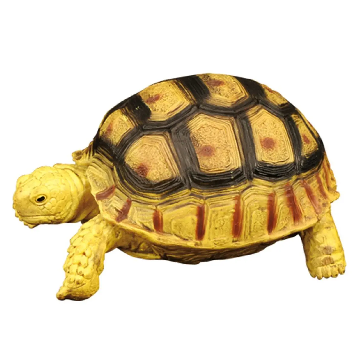 Желтоголовая черепаха - фото