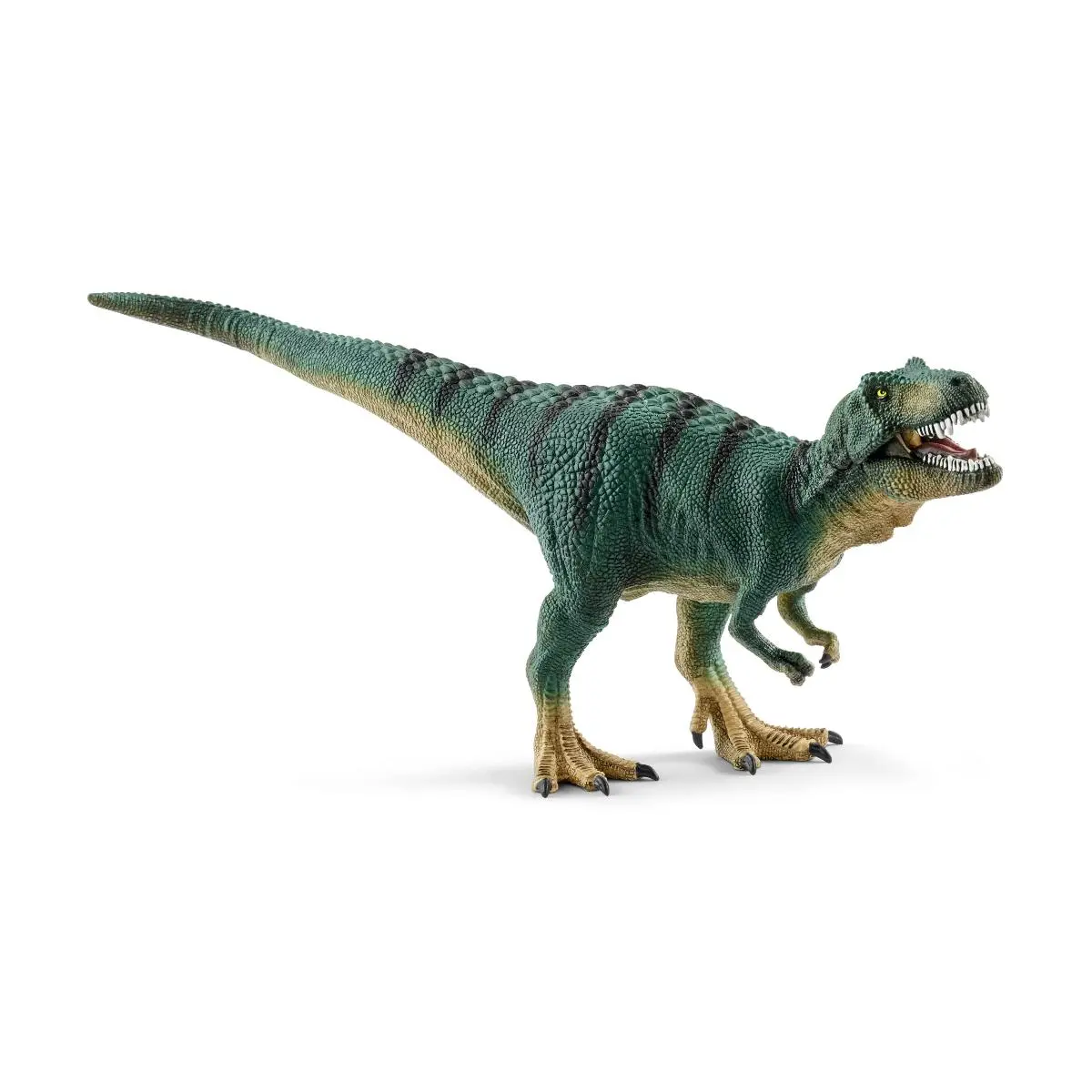 Тиранозавр, молодой - фото