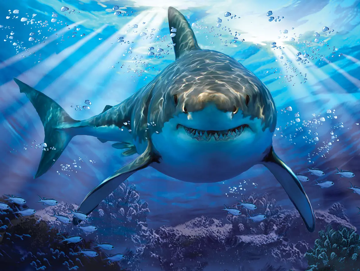 Стерео-пазл "Большая белая акула" - фото
