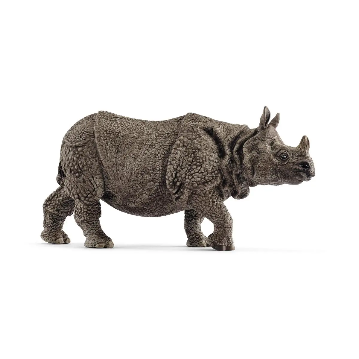Индийский носорог - фото