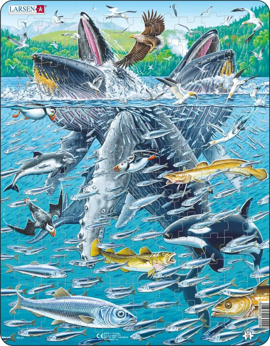 Пазл "Горбатые киты в стае сельди" - фото