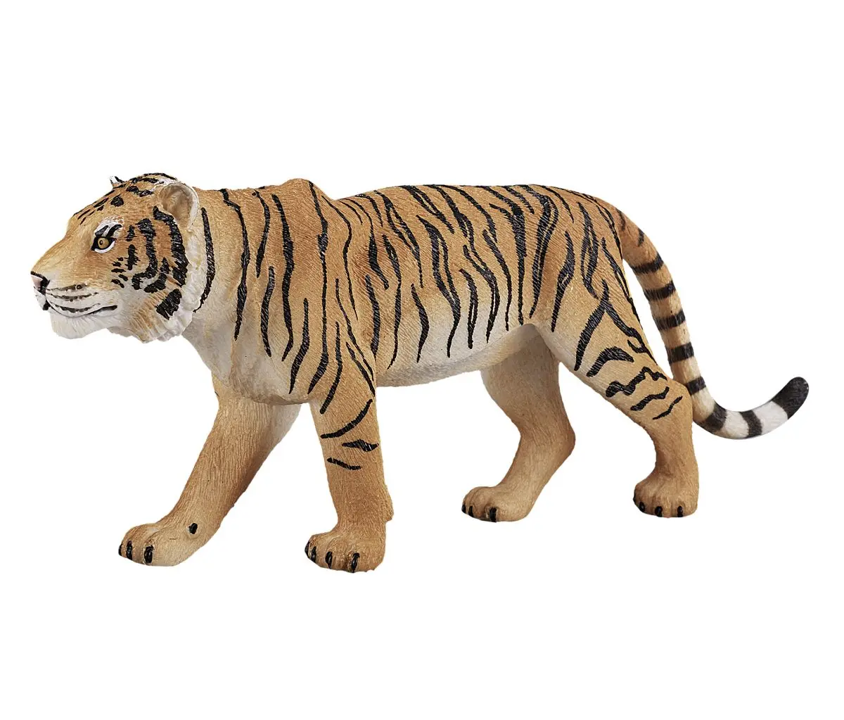 Бенгальский тигр - фото