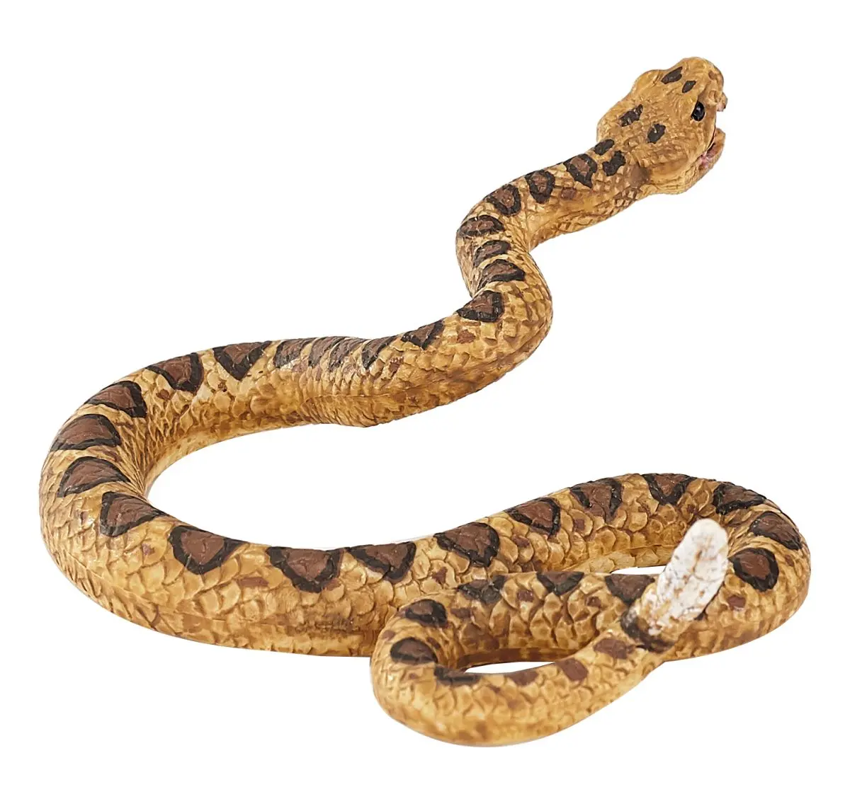 Гремучая змея - фото