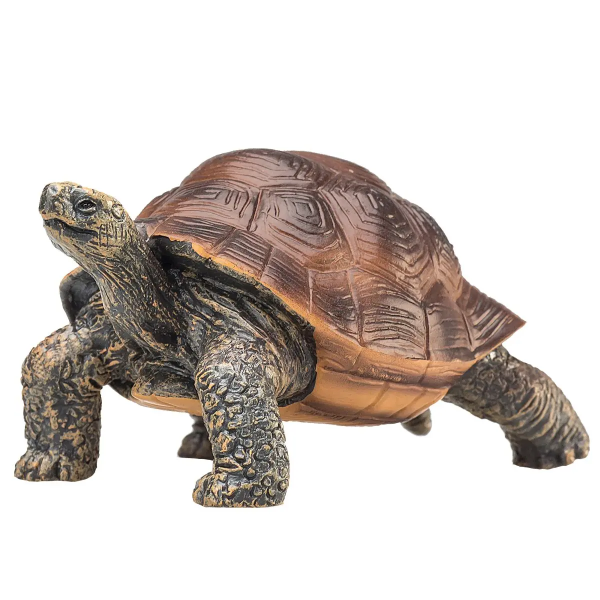 Гигантская черепаха - фото