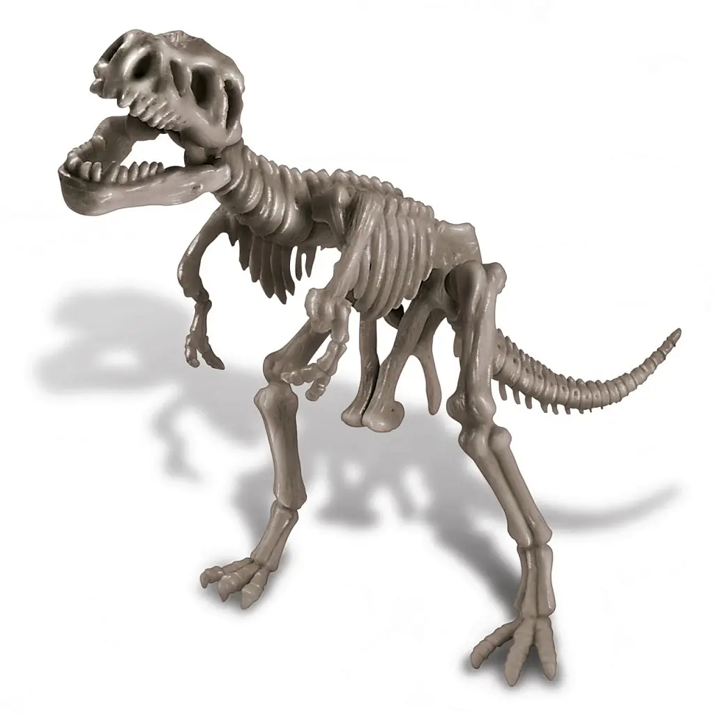 Раскопай скелет. Тираннозавр - фото