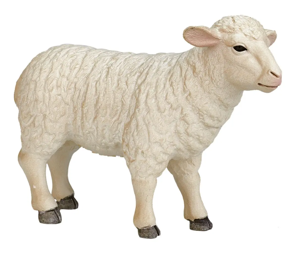 Овца - фото
