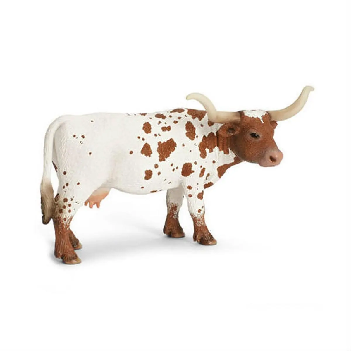 Техасский Лонгхорн, корова - фото