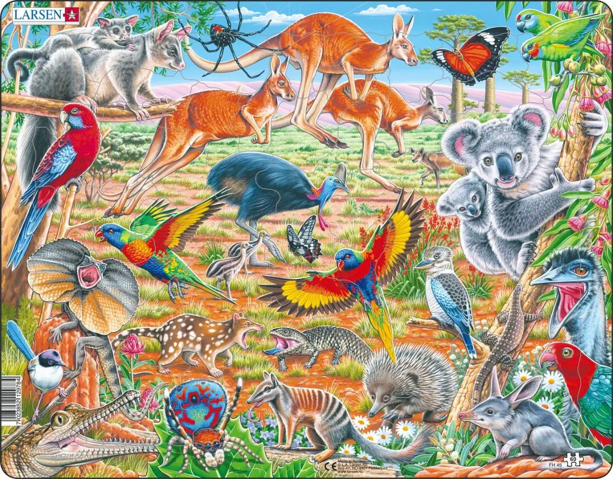 Пазл "Дикие животные Австралии" - фото