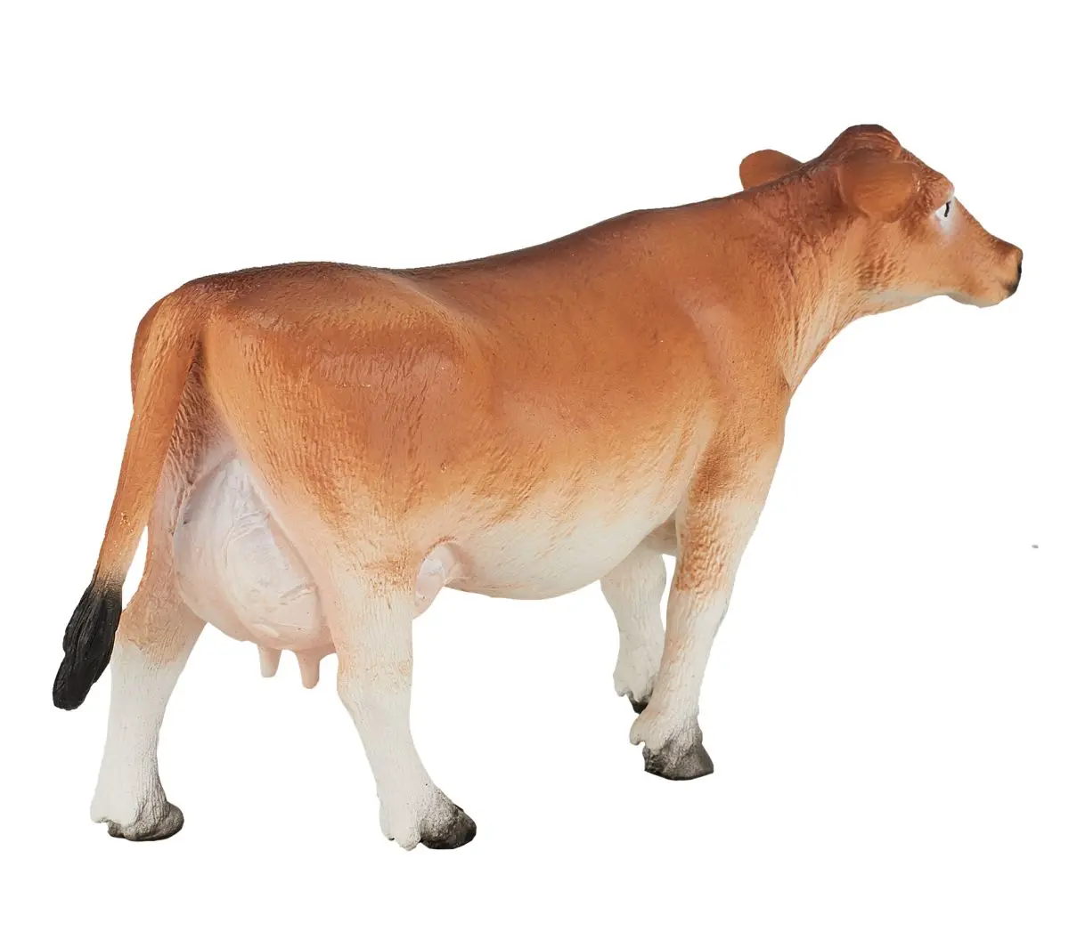 Джерсейская корова - фото