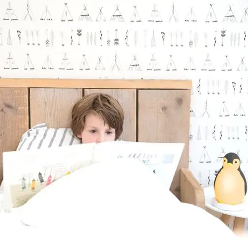 Беспроводная колонка+будильник+ночник пингвинёнок Пэм - фото