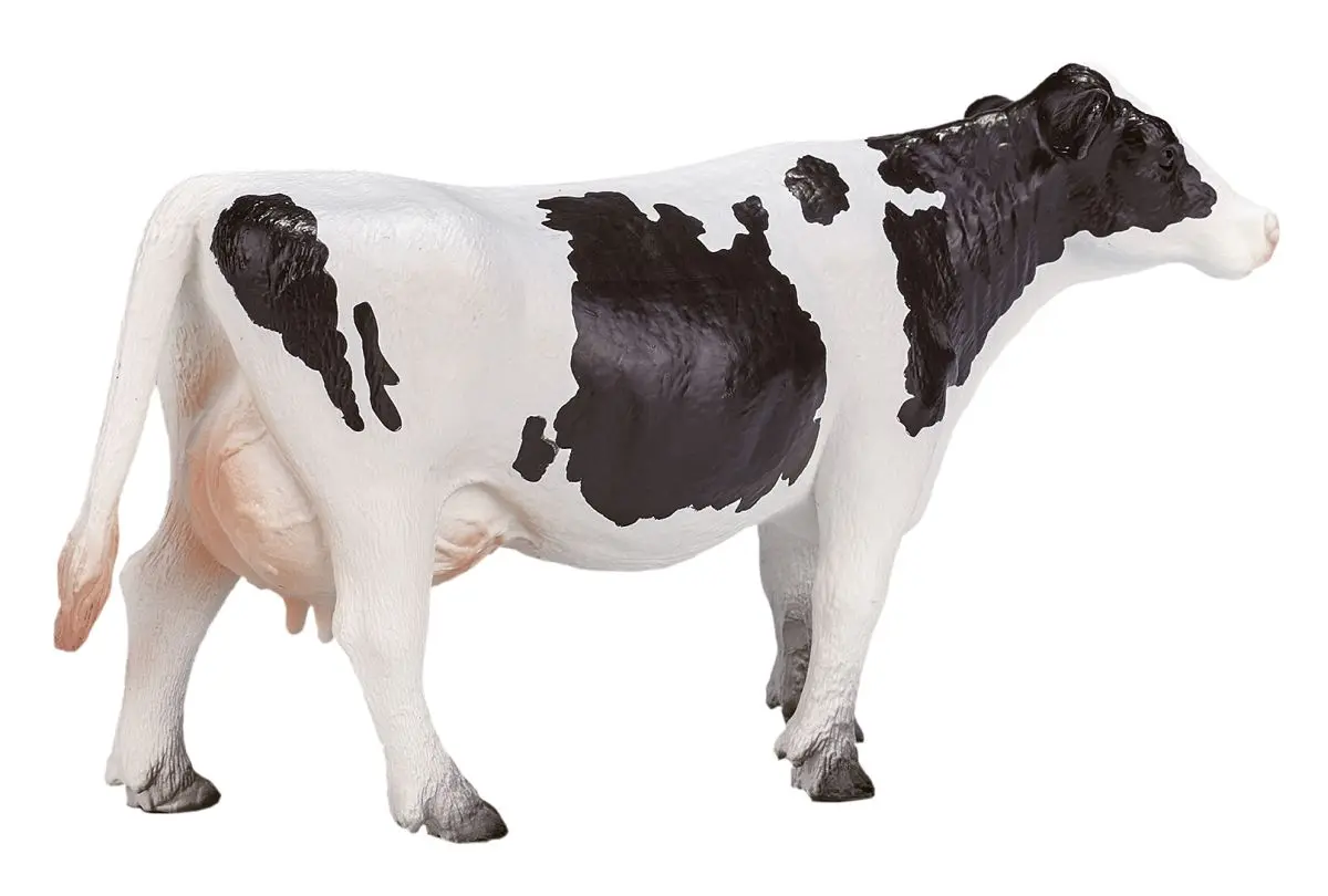 Голштинская корова - фото