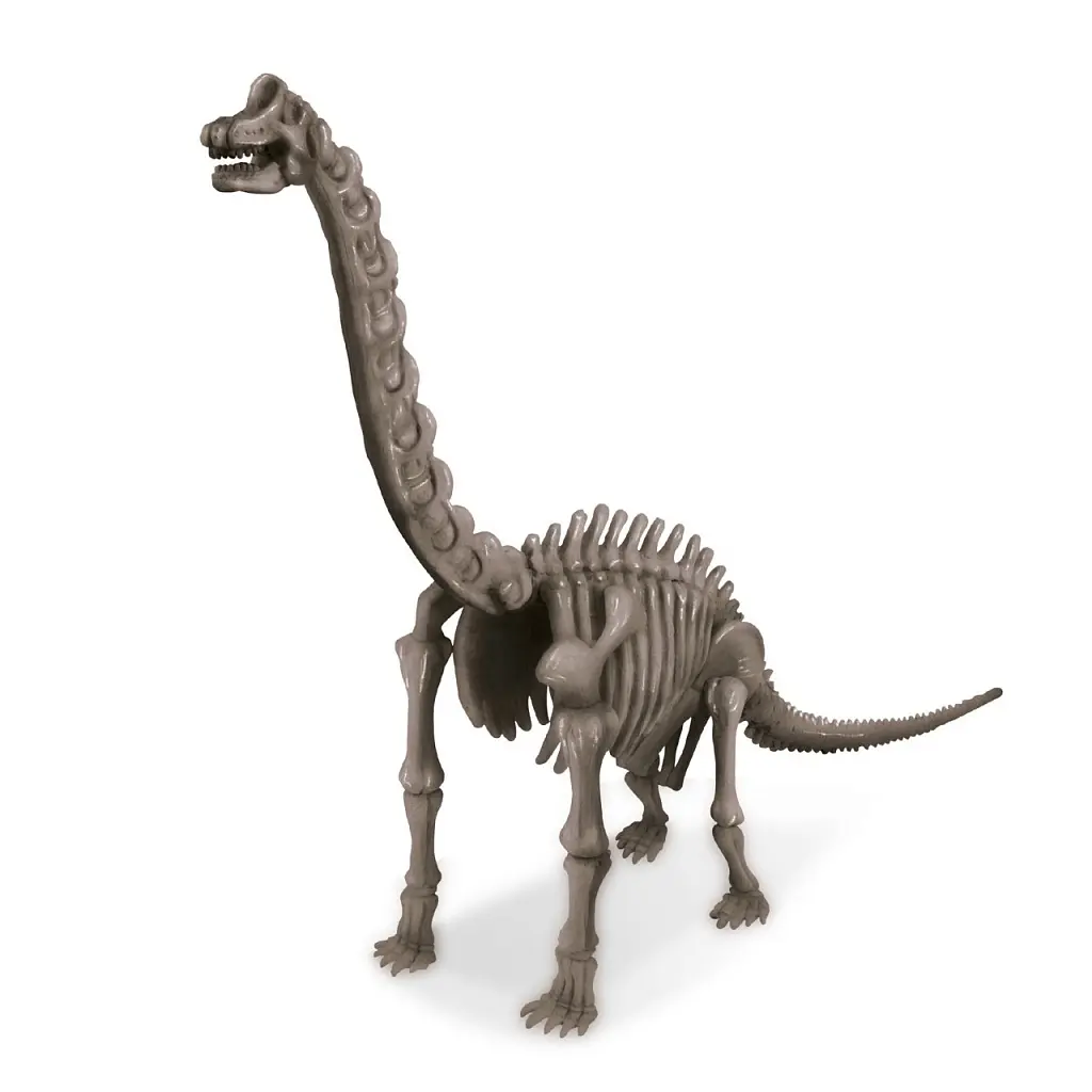 Раскопай скелет. Брахиозавр - фото