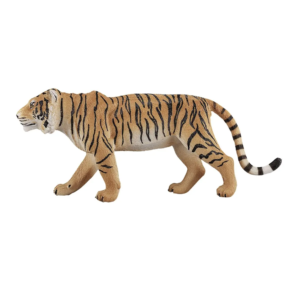 Бенгальский тигр - фото