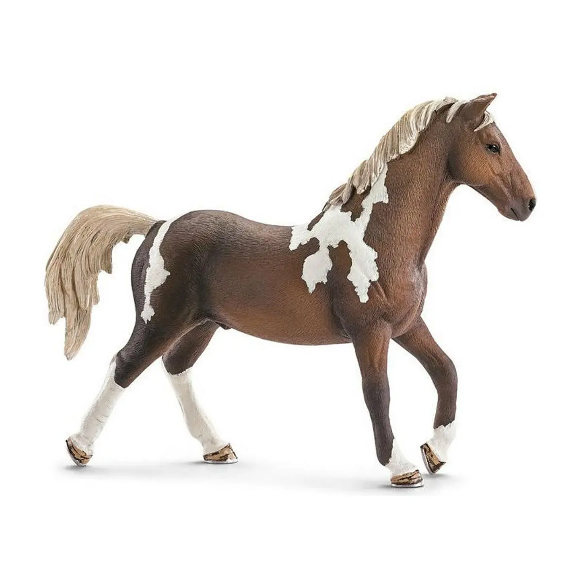 Тракененская лошадь, жеребец - фото