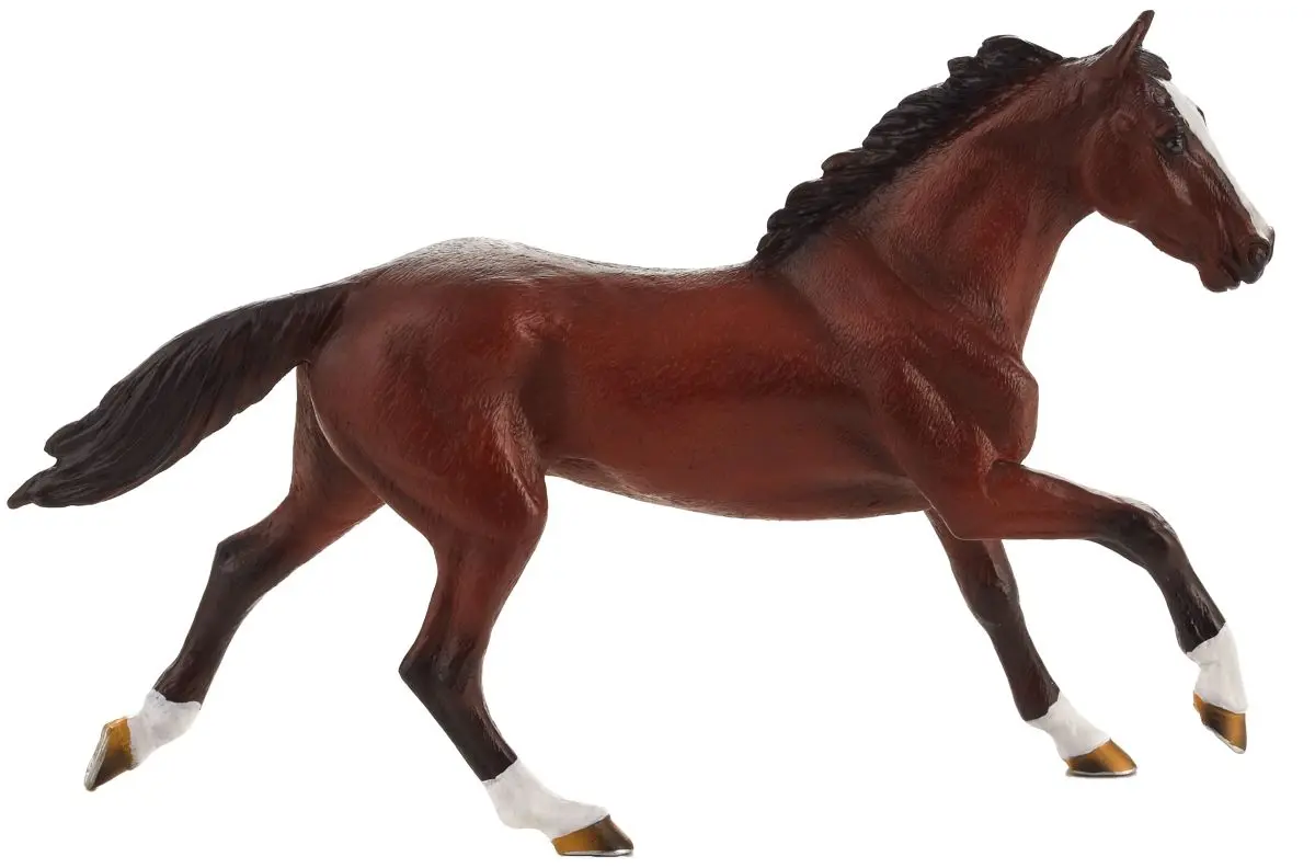 Чистокровная верховая лошадь - фото