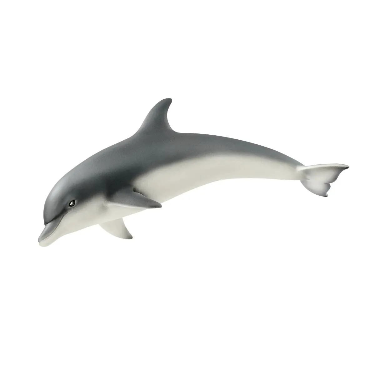 Дельфин - фото