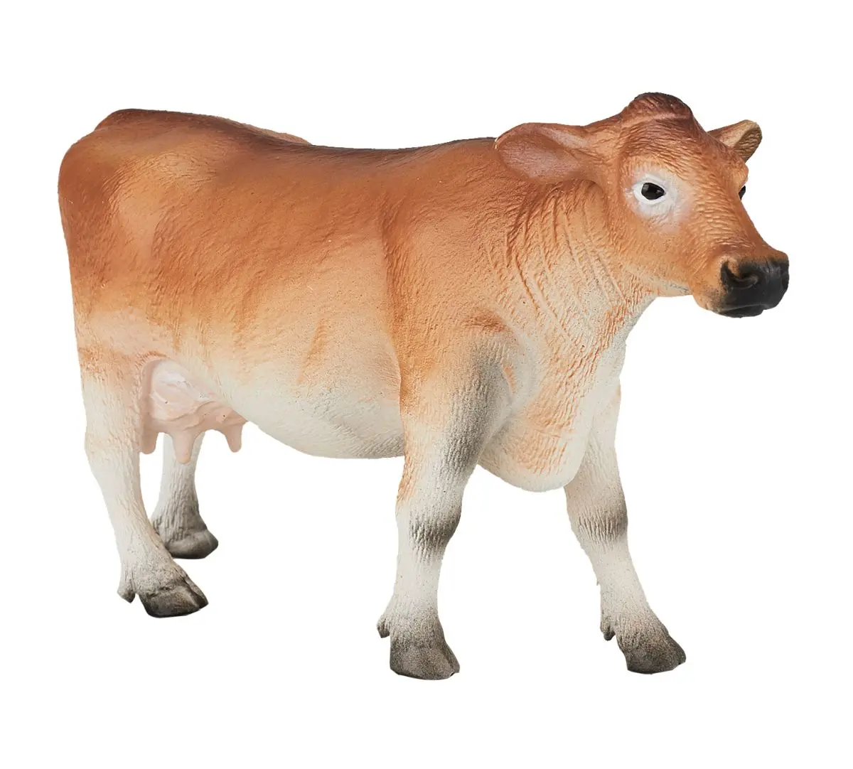 Джерсейская корова - фото