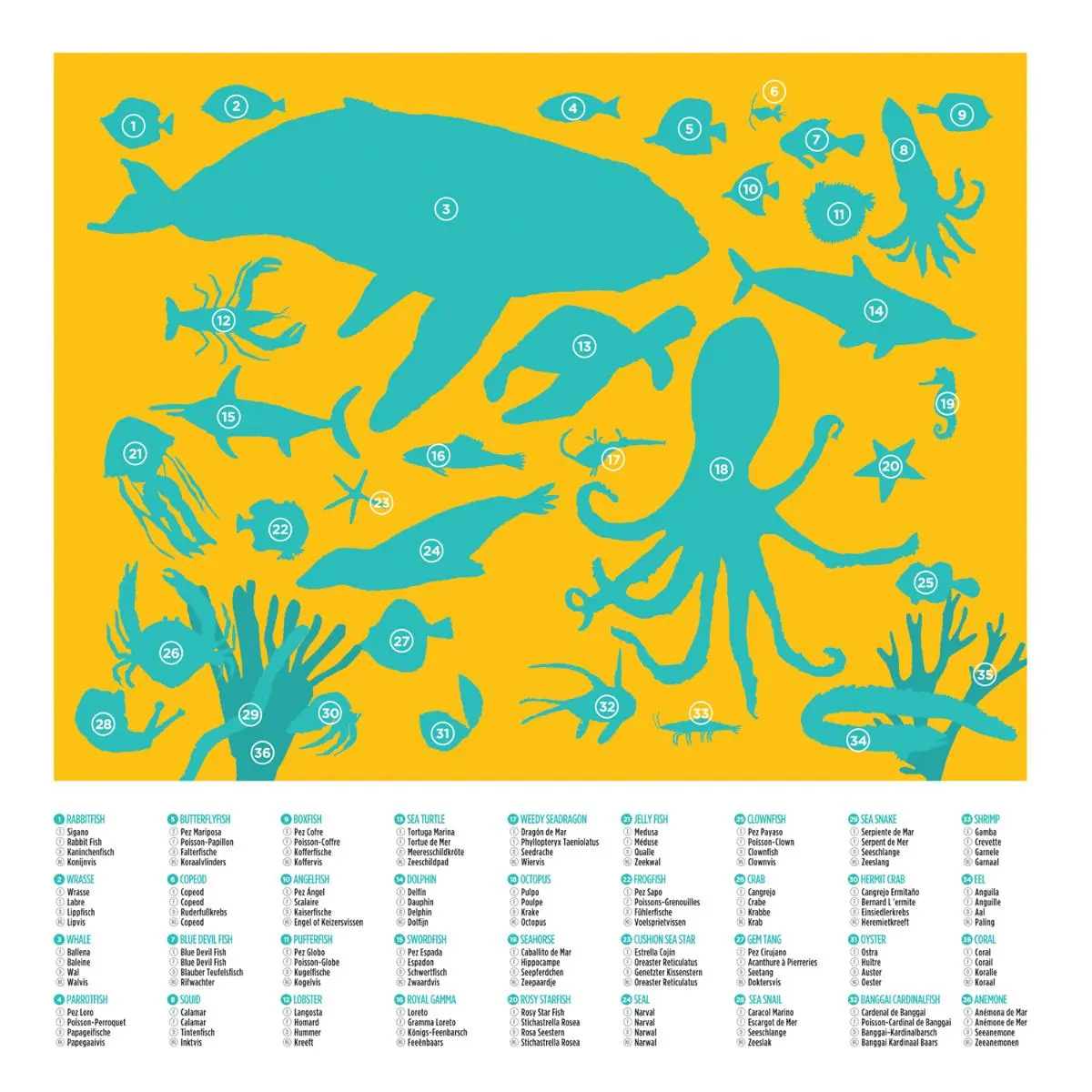 Пазл "36 животных: Животные океана" - фото