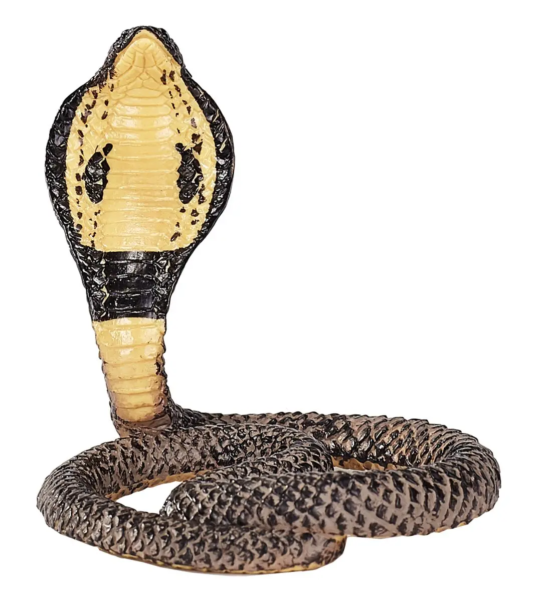 Королевская кобра - фото