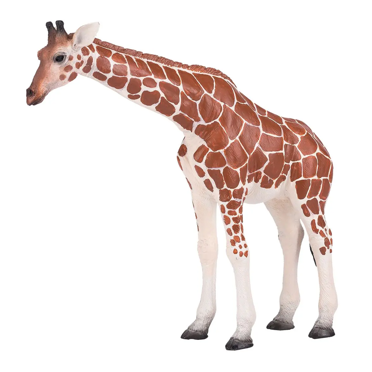 Жираф, самка - фото