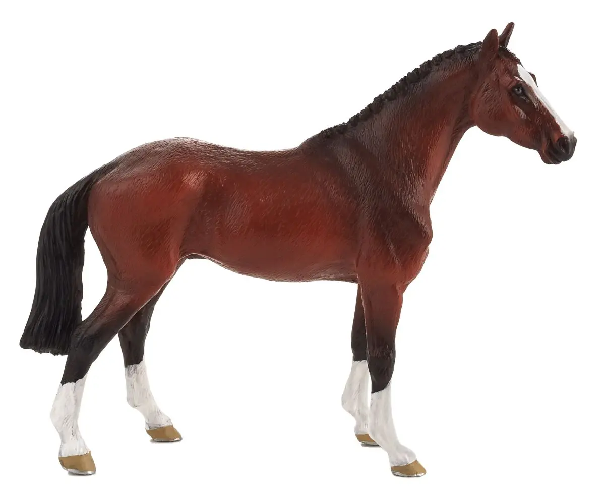 Голландская теплокровная лошадь - фото