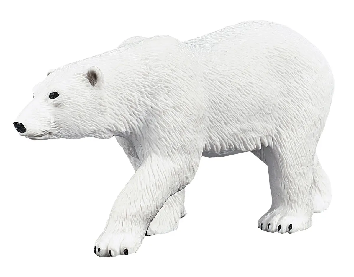 Белый медведь - фото