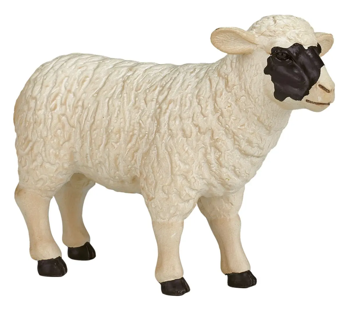 Шотландская черноголовая овца - фото