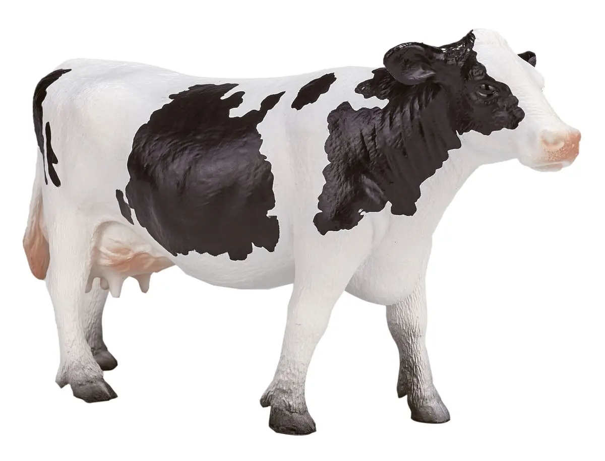 Голштинская корова - фото