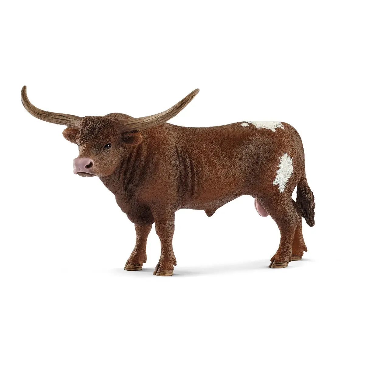 Техасский бык Лонгхорн - фото