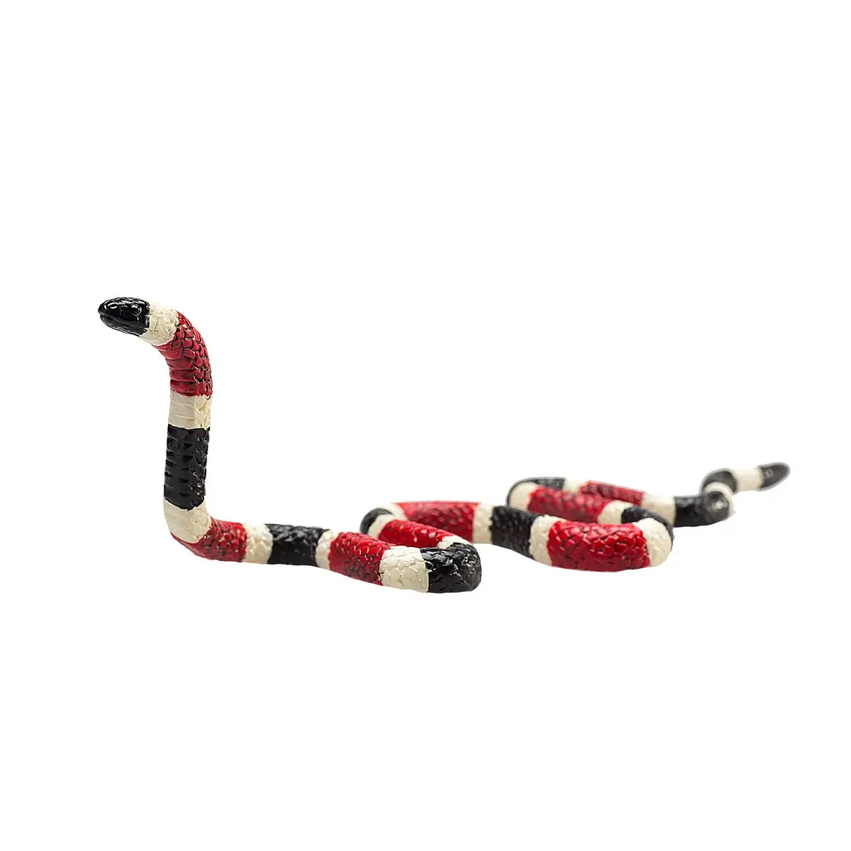 Коралловая змея - фото