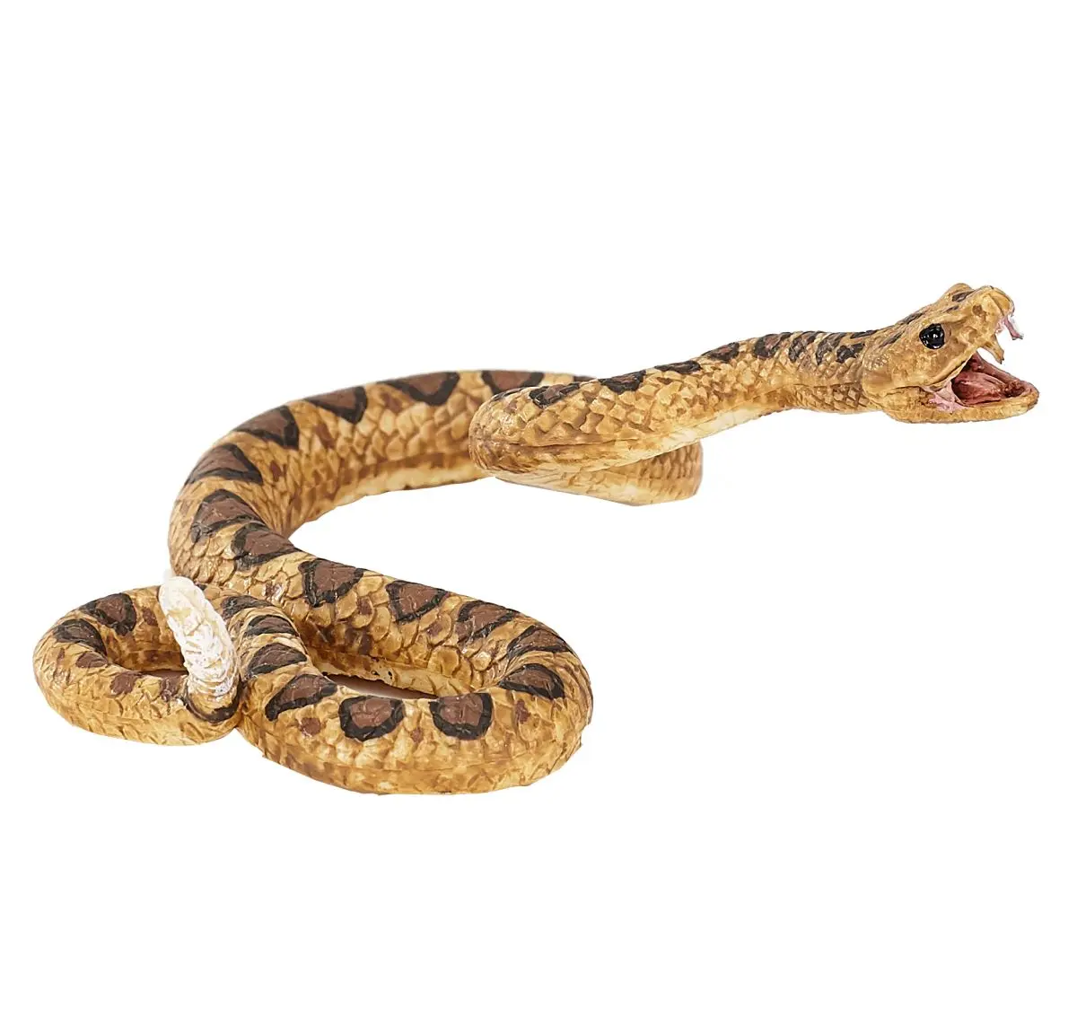 Гремучая змея - фото