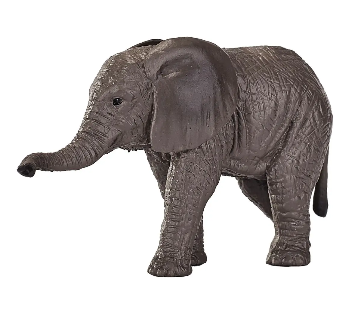 Африканский слоненок - фото