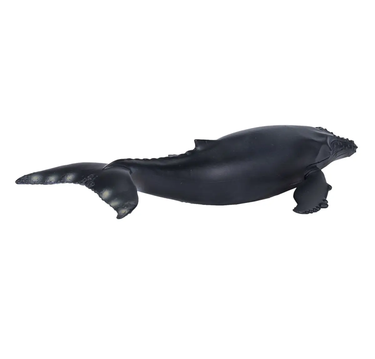 Горбатый кит - фото