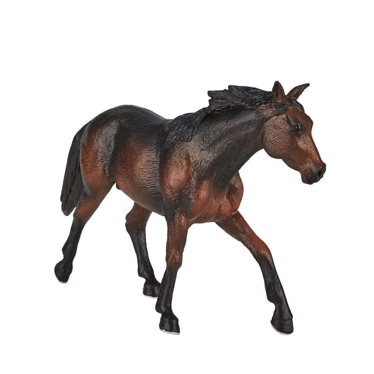 Лошадь Квотерхорс тёмно-гнедая - фото