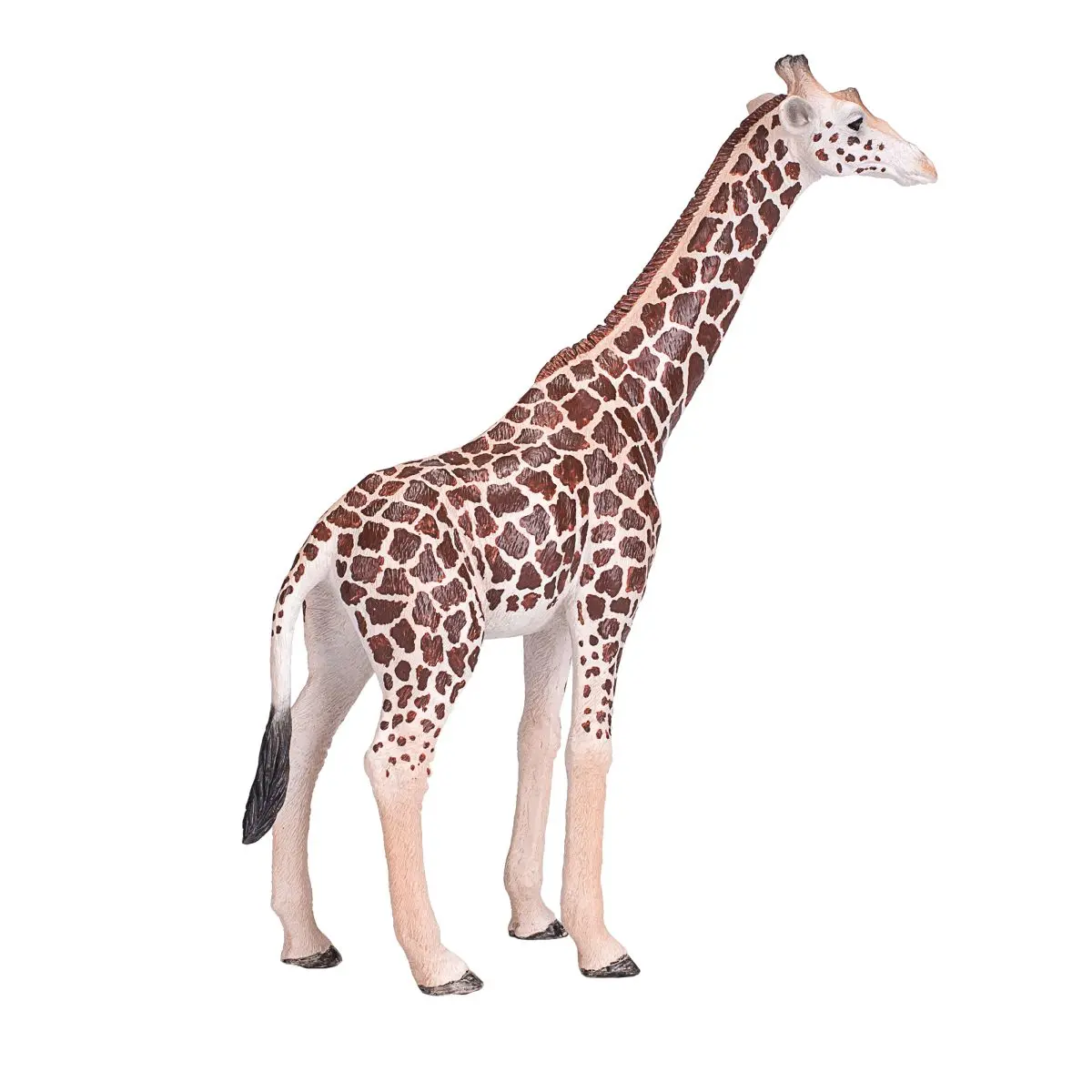 Жираф, самец - фото