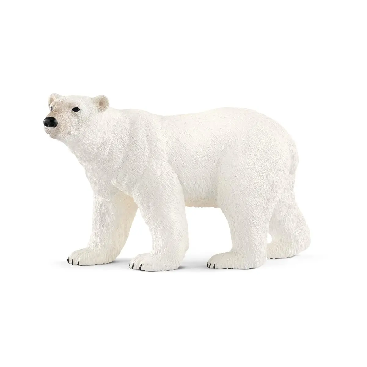Белый медведь - фото