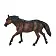 Лошадь Квотерхорс тёмно-гнедая - фото 3
