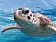 Стерео-пазл "Морская черепаха" - фото 3