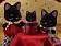 Семья Черных котов - фото 4