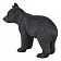 Американский черный медвежонок - фото 4