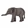 Африканский слоненок - фото 3