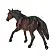 Лошадь Квотерхорс тёмно-гнедая - фото 4
