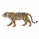 Бенгальский тигр - фото 3
