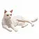Кошка белая лежащая - фото 2
