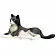 Кошка черно-белая лежащая - фото 2