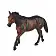 Лошадь Квотерхорс тёмно-гнедая - фото 2
