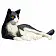Кошка черно-белая лежащая - фото 3