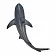 Тупорылая акула - фото 5